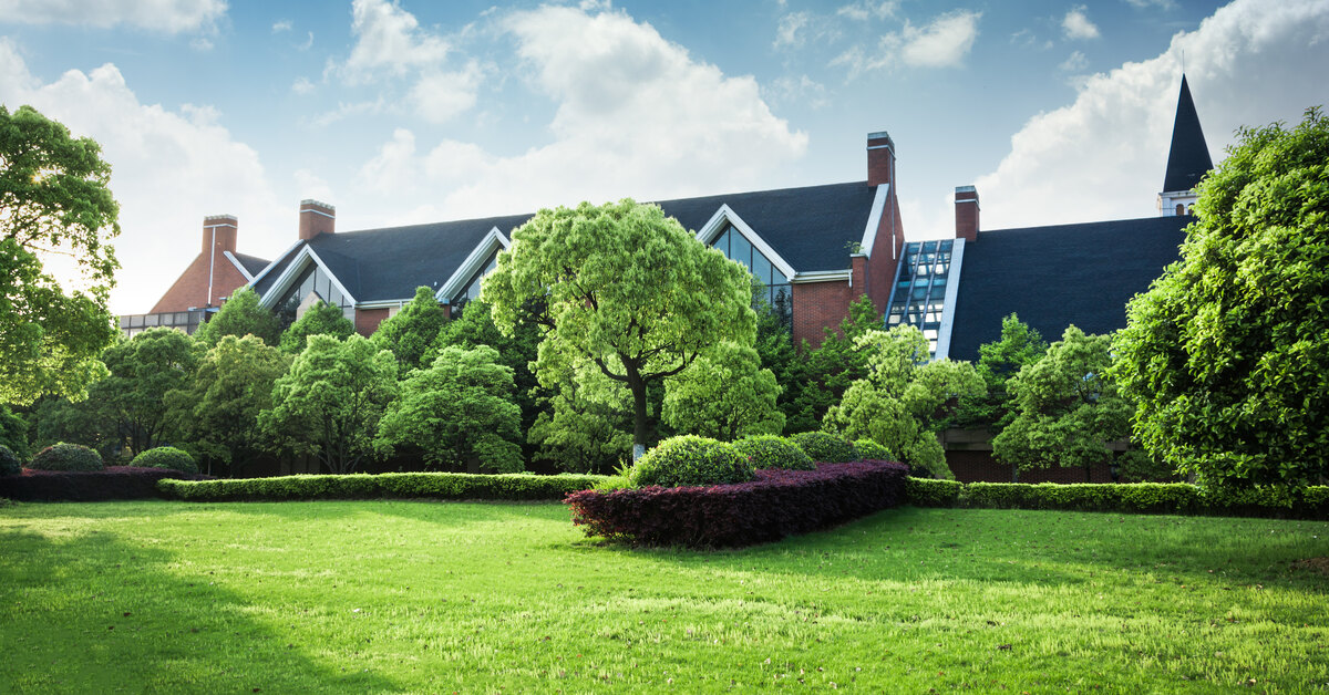 6 быстрорастущих сортов травы скроют проплешины на газоне в саду