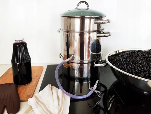 Способ заготовки сока из чёрной смородины с использованием соковарки