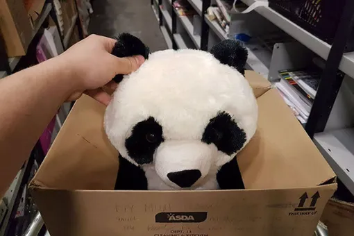 «Пожалуйста, не покупайте мою панду!» Трогательная записка мальчика на коробке с игрушкой