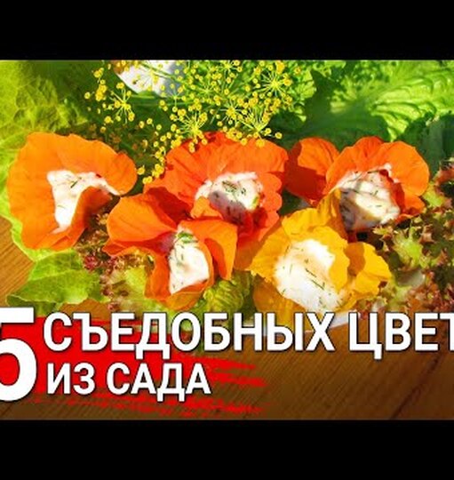Нажми и смотри