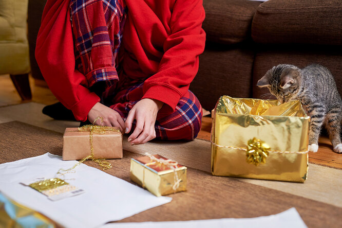 Подарки для домашнего тигра: идеи для кошки на Новый год