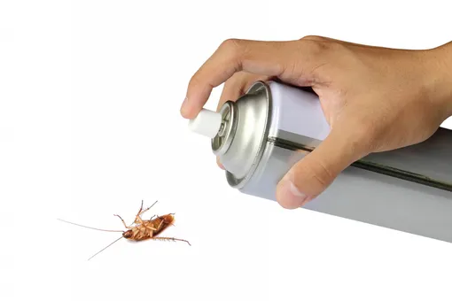Аэрозоли от тараканов
