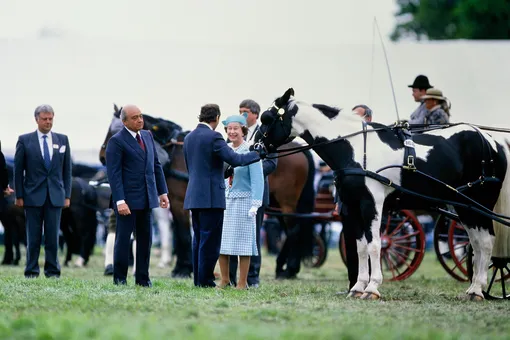 Королева Елизавета II вручает призы на Королевском конном шоу в Виндзоре в сопровождении одного из спонсоров Мохаммеда Аль-Файеда 14 мая 1989 года