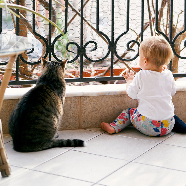 Обошлось без трагедии: ребёнок пытался вылезти с балкона, но вмешался кот