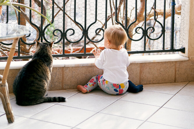 Обошлось без трагедии: ребёнок пытался вылезти с балкона, но вмешался кот