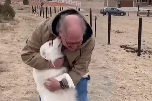 До слез: слепоглухая собака встретилась с хозяином после 1,5 лет разлуки