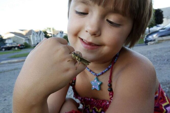 Эту девочку дразнили за любовь к жукам. Теперь над ней уже никто не смеется