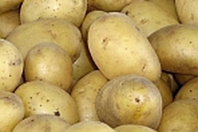 Бытпросвет: лечебный картофель Бытпросвет: лечебный картофель