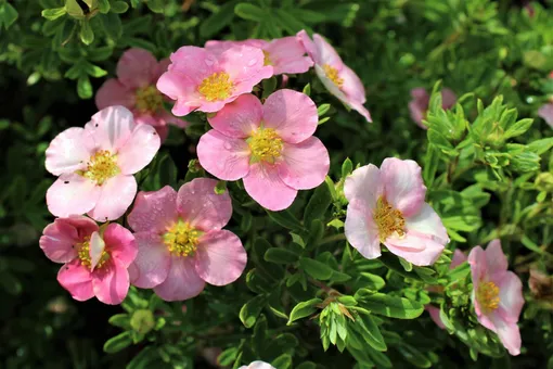 20f1b0b30e03de7f7d931402f8c9ae40_cropped_510x340