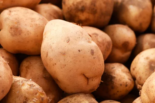 Сорт картофеля бриз идеально для фри и замороженных овощных смесей