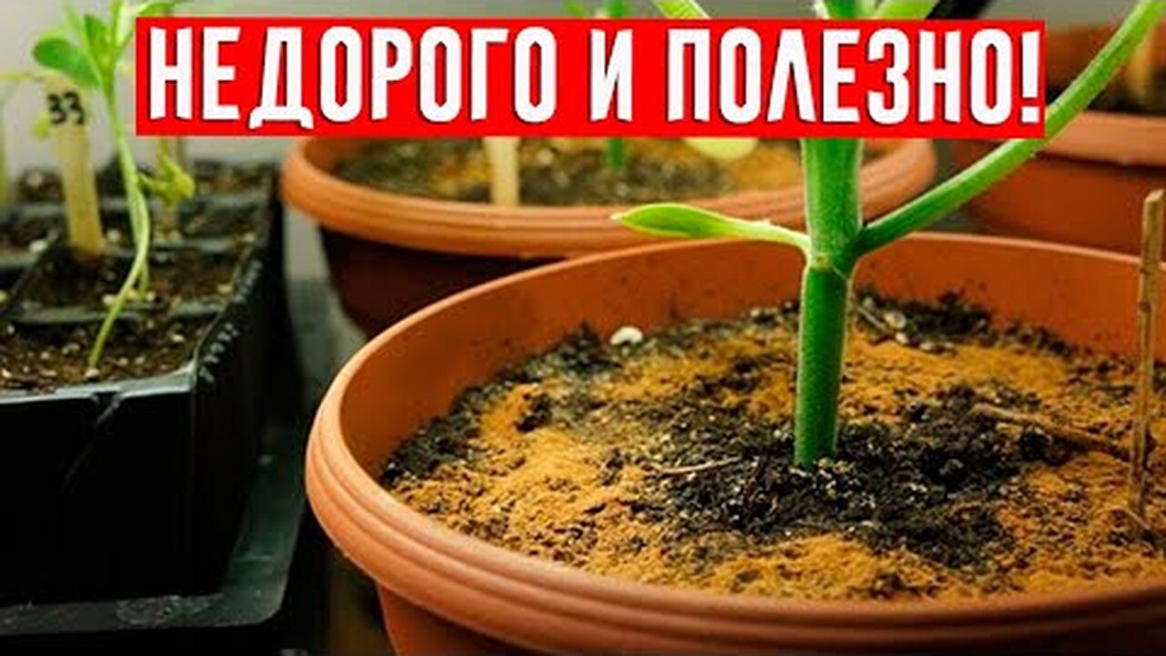 Klikněte a uvidíte