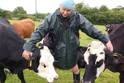 Фермер-вегетарианец не знал, что делать с коровами, но нашел выход
