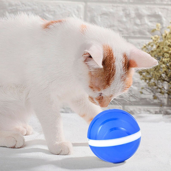 Aliexpress, Самоперекатывающийся светодиодный шарик Cheerble Wicked Ball, 2074 руб