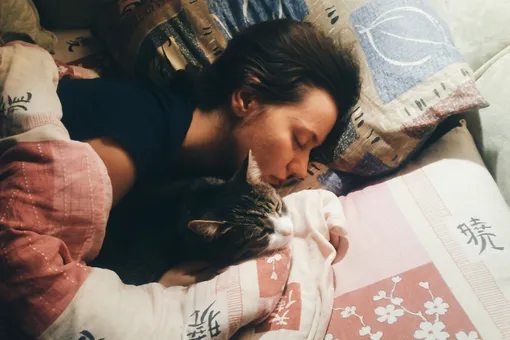 Кошка спит около хозяина, потому что хочет показать, что любит его