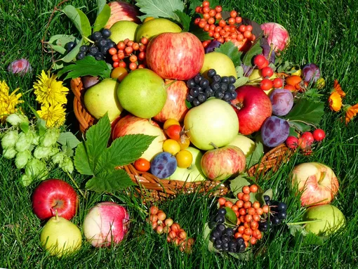 Зачем весной подкармливать плодово-ягодные культуры?