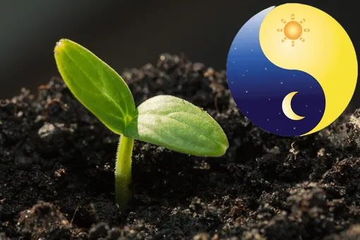 Лунный посевной календарь садовода и огородника на неделю с 27 марта по 2 апреля 2023 года