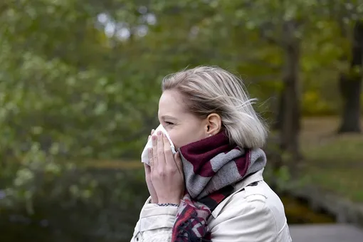Как отличить сезонную аллергию и коронавирус: названы главные признаки