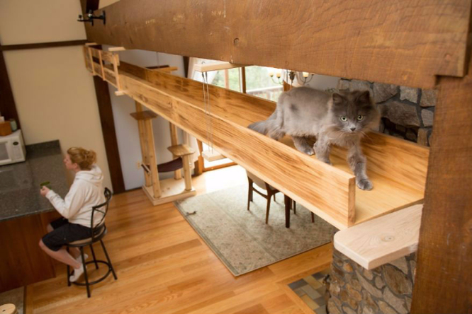 Кошачий рай. Как дизайнерка сделала дом удобным для кошек