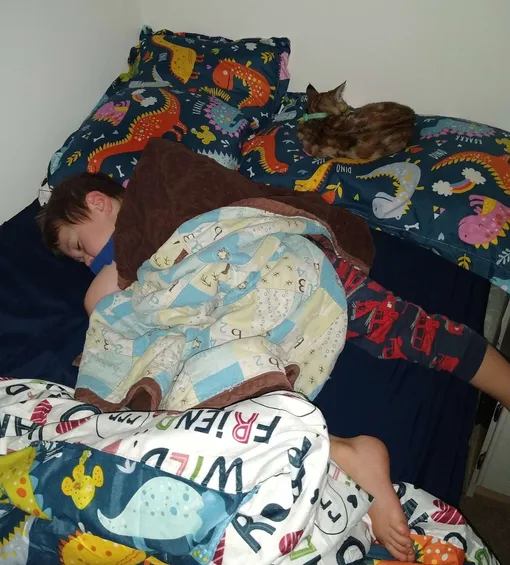 кошка и мальчик спят вместе