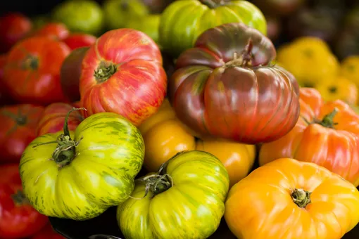 Двухцветные томаты могут быть разных оттенков и сочетаний