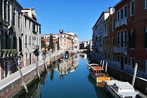 Чудеса в Венеции: из-за карантина местные жители впервые увидели в каналах рыб и дельфинов