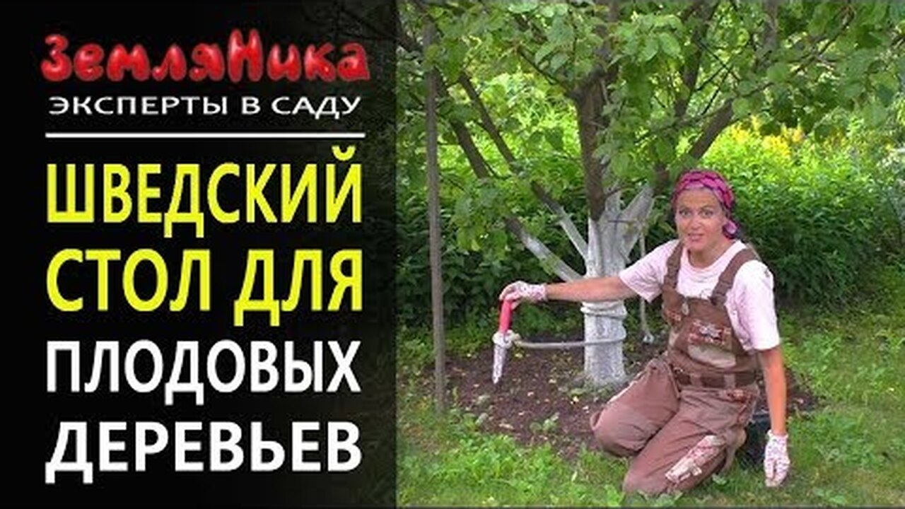 Klikněte a uvidíte