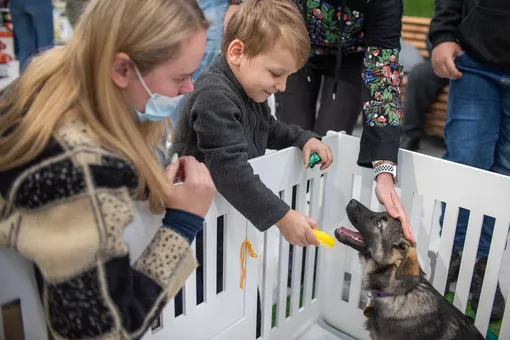 Благотворительный фестиваль «Собаки, которые любят» состоится в Москве 27 марта