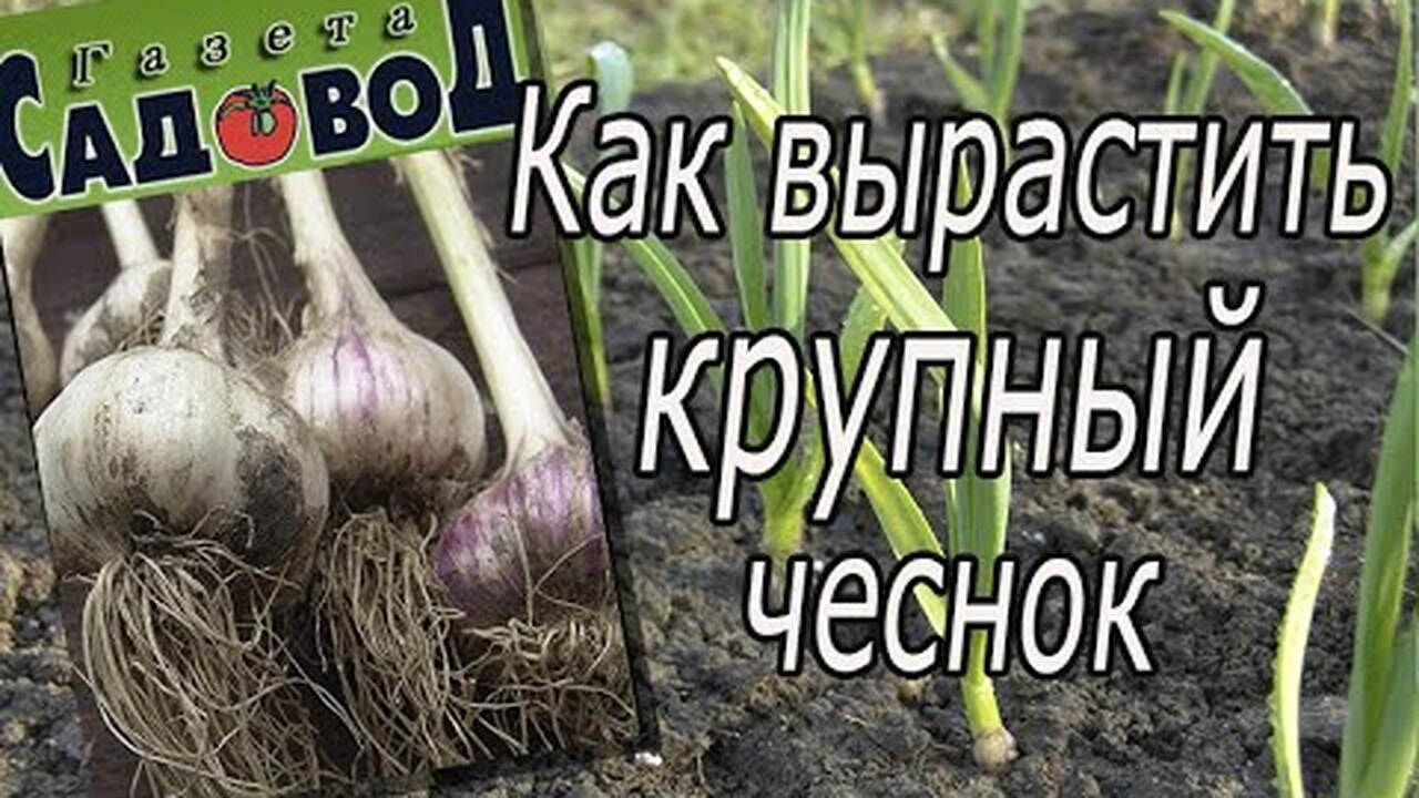 Klikněte a uvidíte