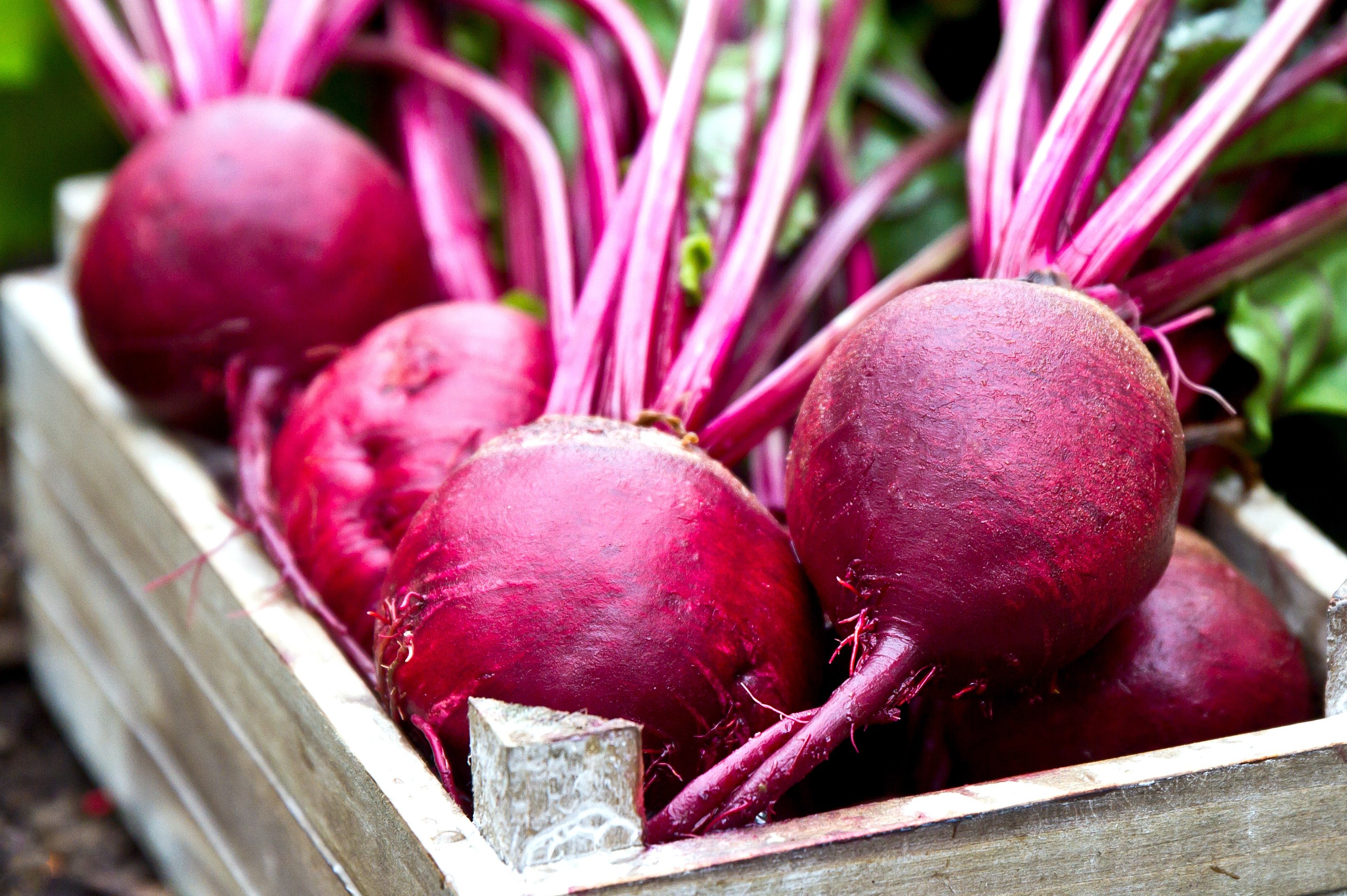 Сладкая свекла. Свекла. Как чтобы свекла была сладкая. Как чтобы свекла была сладкая. Как чтобы свекла была сладкая.