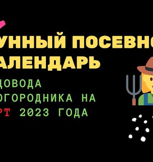 Нажми и смотри