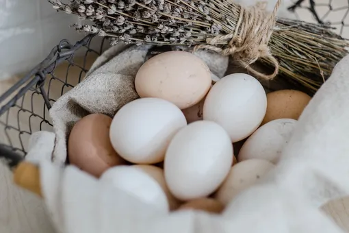 Почему куриные яйца бывают мелкими и крупными? Каждый второй ошибается с ответом
