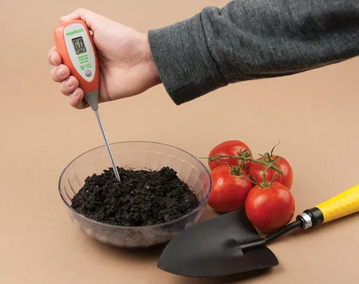 Какая кислотность почвы должна быть для томатов