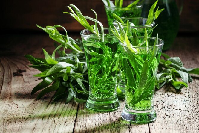 recept na estragon doma