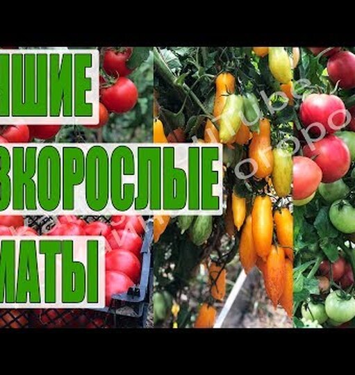 Нажми и смотри