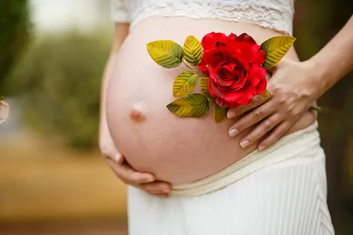женщина с обнаженным беременным животом и розой