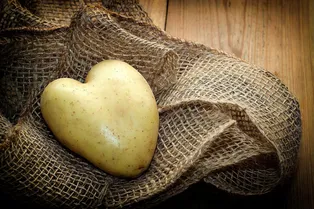 5 ошибок при выращивании картофеля, которые сокращают урожай: не допустите их в этом сезоне