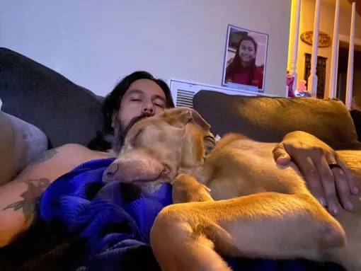 пес и хозяин спят вместе