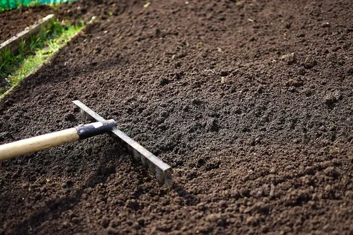 Подготовка почвы и грядки к посадке