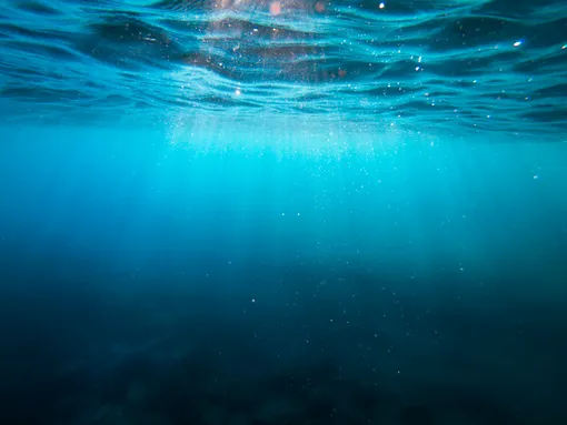 Море олицетворяет глубины вашего подсознания