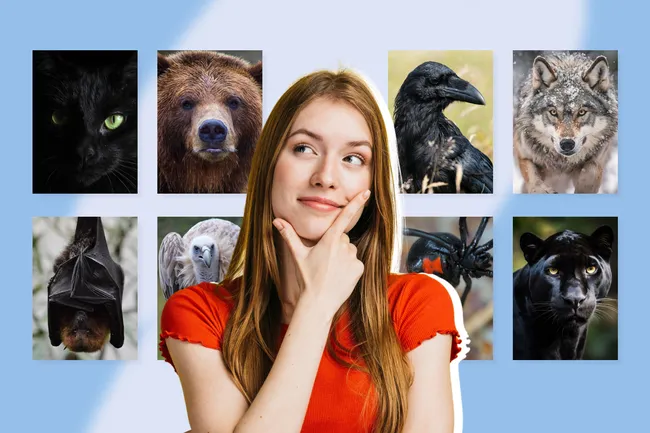Тест на познание себя: выберите животное, чтобы раскрыть тёмную сторону вашей личности