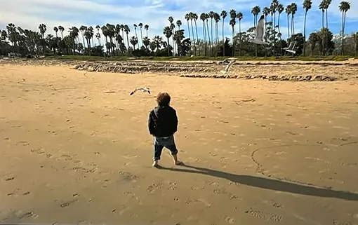 Принц Арчи отгоняет чаек на пляже в Калифорнии