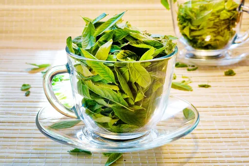 Лечебный чай из листьев томата