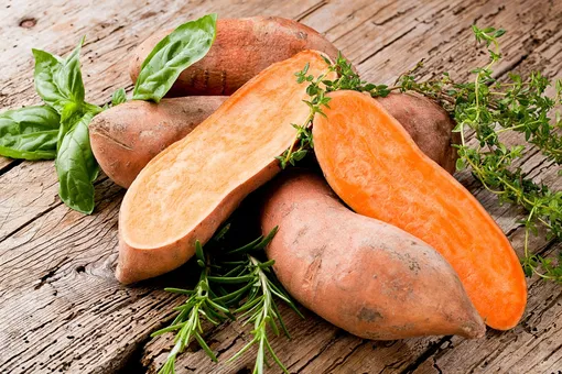Как выращивать батат на огороде: советы для желающих поэкспериментировать со сладким картофелем
