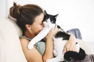 Зачем коты мнут человека лапами и почему это полезно