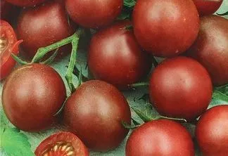 Черноплодные томаты