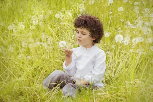 Ребенок сидит с одуванчиком в траве фото