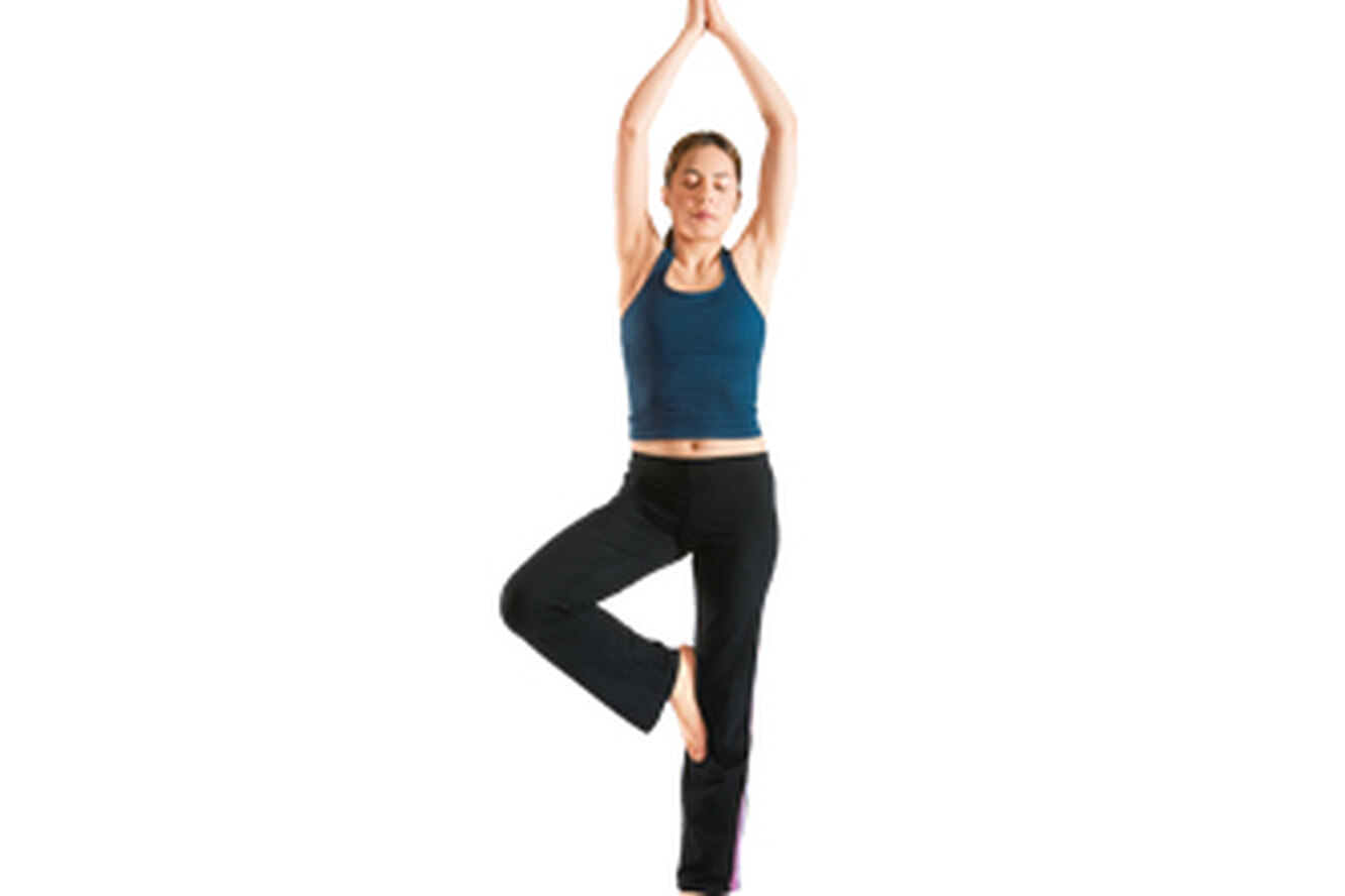 T-Bomb Ii �������: ����.