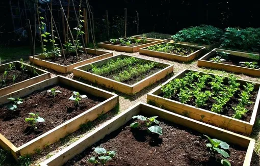 Способы выращивания овощей