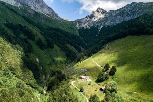 Собственная биоферма Clarins в Альпах: на пике красоты