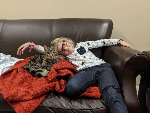 кошка на диване с ребенком